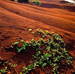 古惑狼多人游戏《Crash Team Rumble》介绍视频